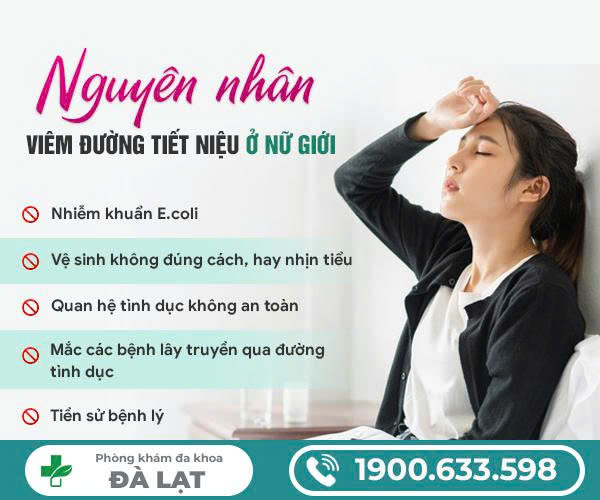 Hình ảnh minh họa